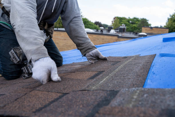Gutter Installation and Roofing in Goodman, MS