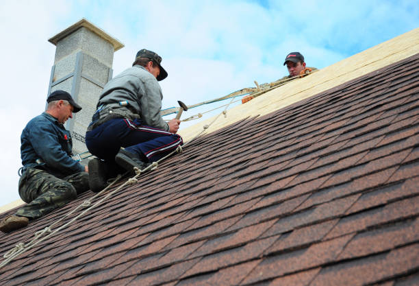 Best Roof Repair Services  in Goodman, MS