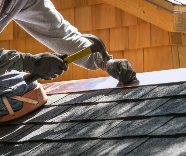 Best Roof Gutter Cleaning  in Goodman, MS